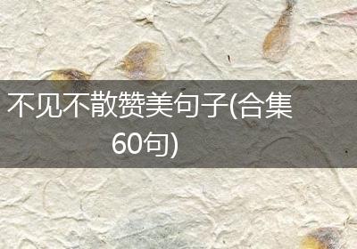 不见不散赞美句子(合集60句)