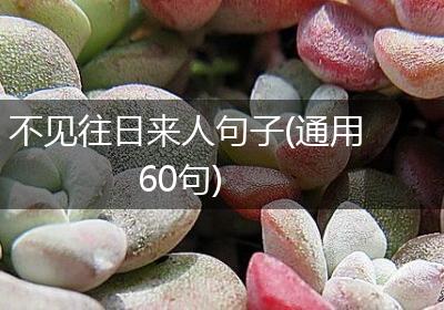 不见往日来人句子(通用60句)