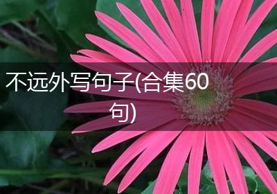 不远外写句子(合集60句)