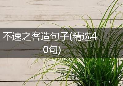 不速之客造句子(精选40句)