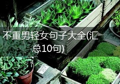 不重男轻女句子大全(汇总10句)