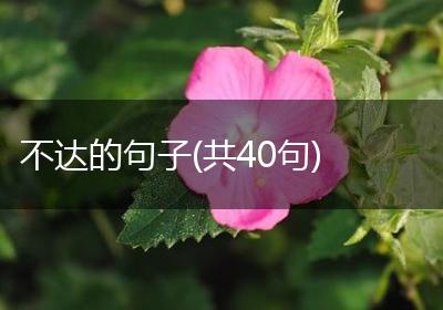 不达的句子(共40句)