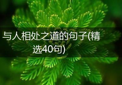 与人相处之道的句子(精选40句)