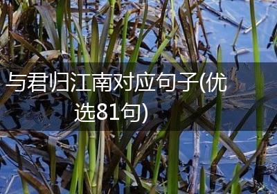 与君归江南对应句子(优选81句)