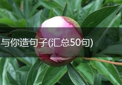 与你造句子(汇总50句)