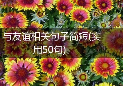 与友谊相关句子简短(实用50句)