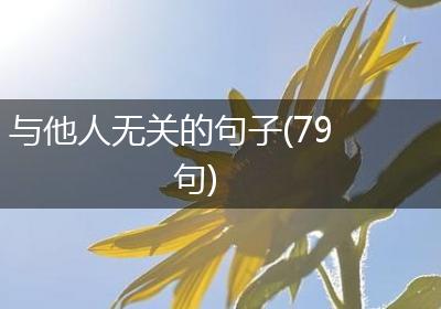 与他人无关的句子(79句)