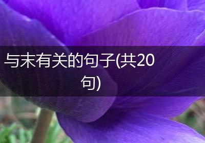 与末有关的句子(共20句)