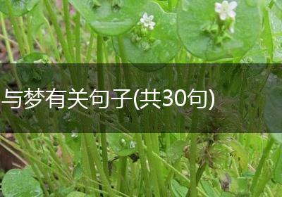 与梦有关句子(共30句)
