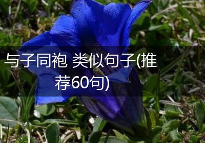 与子同袍 类似句子(推荐60句)