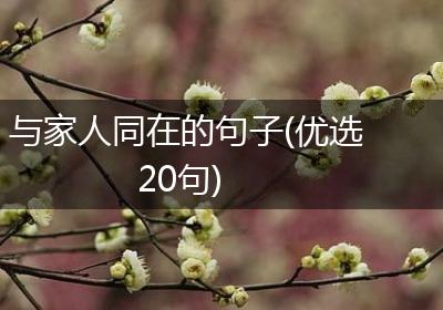 与家人同在的句子(优选20句)