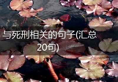 与死刑相关的句子(汇总20句)