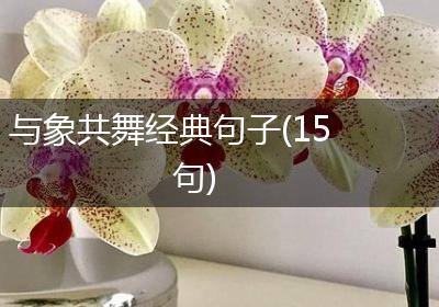 与象共舞经典句子(15句)