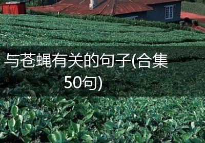 与苍蝇有关的句子(合集50句)