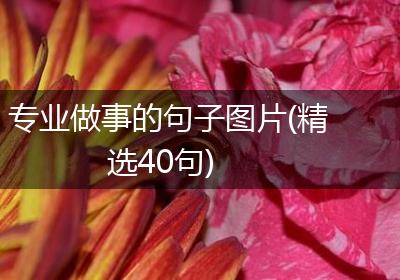 专业做事的句子图片(精选40句)
