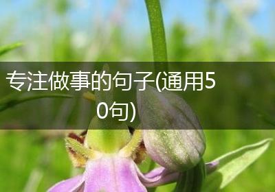 专注做事的句子(通用50句)
