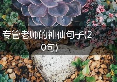 专管老师的神仙句子(20句)