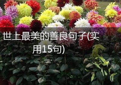 世上最美的善良句子(实用15句)