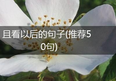 且看以后的句子(推荐50句)