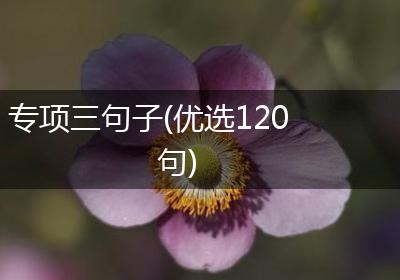 专项三句子(优选120句)
