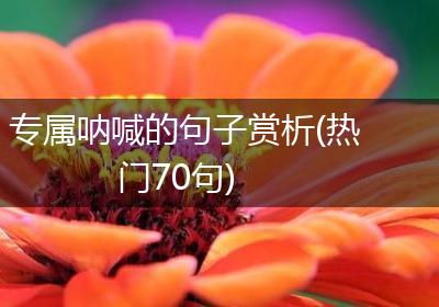 专属呐喊的句子赏析(热门70句)