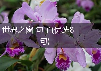 世界之窗 句子(优选8句)