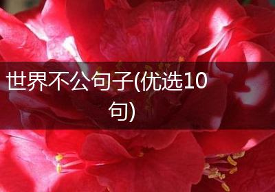 世界不公句子(优选10句)