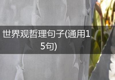 世界观哲理句子(通用15句)