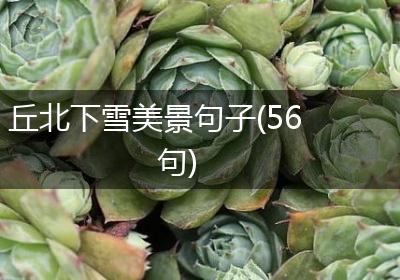 丘北下雪美景句子(56句)