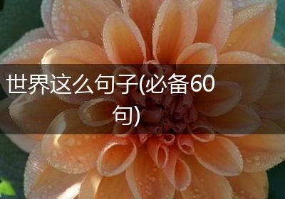 世界这么句子(必备60句)