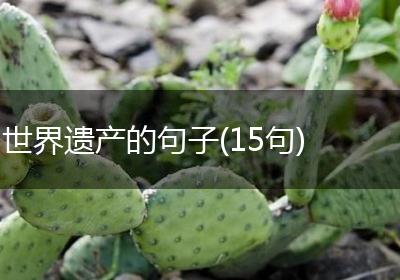 世界遗产的句子(15句)