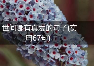 世间哪有真爱的句子(实用67句)