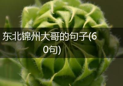 东北锦州大哥的句子(60句)