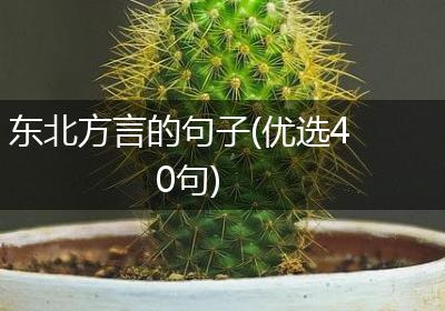 东北方言的句子(优选40句)