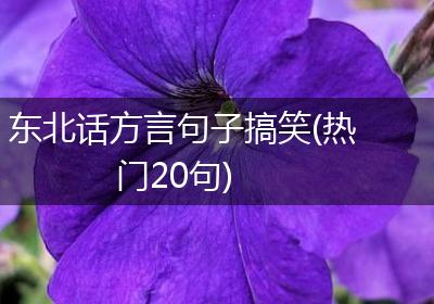 东北话方言句子搞笑(热门20句)