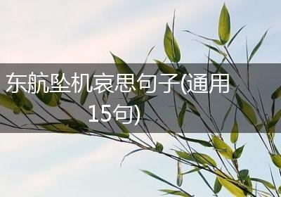 东航坠机哀思句子(通用15句)