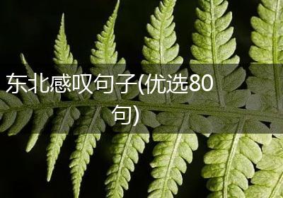 东北感叹句子(优选80句)