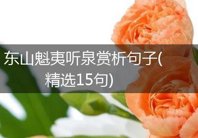 东山魁夷听泉赏析句子(精选15句)