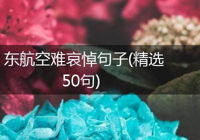 东航空难哀悼句子(精选50句)