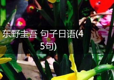 东野圭吾 句子日语(45句)