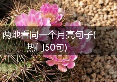两地看同一个月亮句子(热门50句)