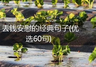 丢钱安慰的经典句子(优选60句)