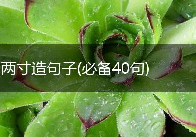 两寸造句子(必备40句)