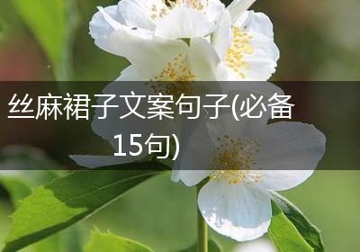 丝麻裙子文案句子(必备15句)