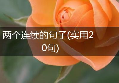两个连续的句子(实用20句)