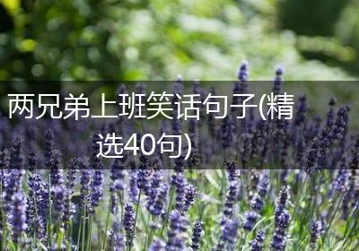 两兄弟上班笑话句子(精选40句)