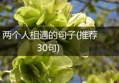 两个人相遇的句子(推荐30句)