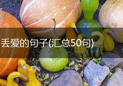 丢爱的句子(汇总50句)