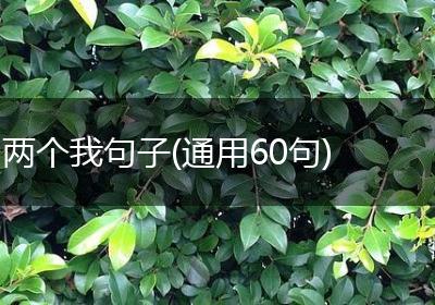 两个我句子(通用60句)