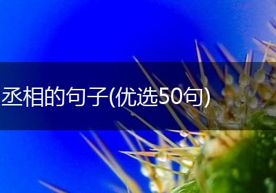 丞相的句子(优选50句)